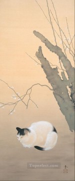  ciruelo Lienzo - Gato y flores de ciruelo 1906 Hishida Shunso Japonés